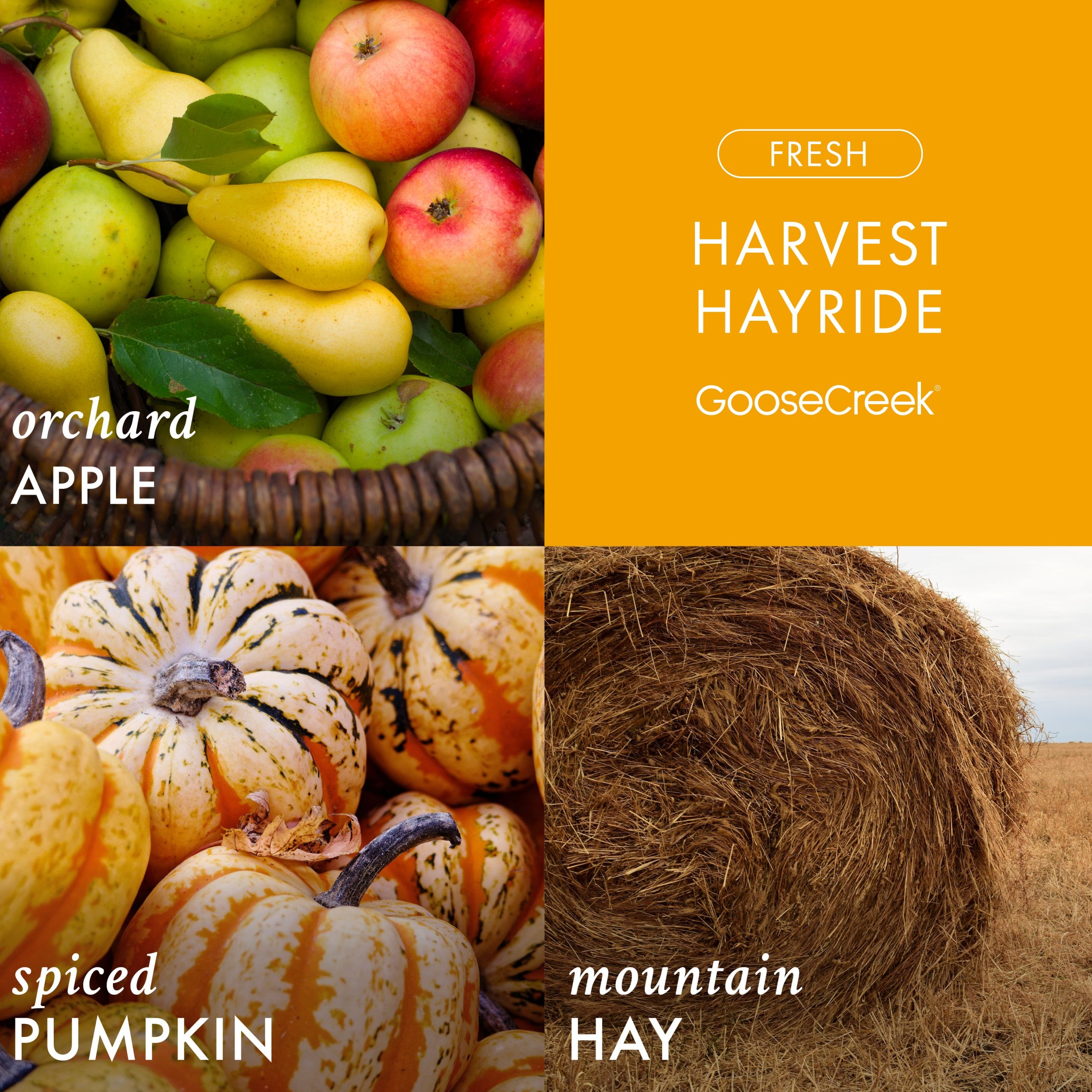 Harvest Hayride 3-Wick Candle - Image 2