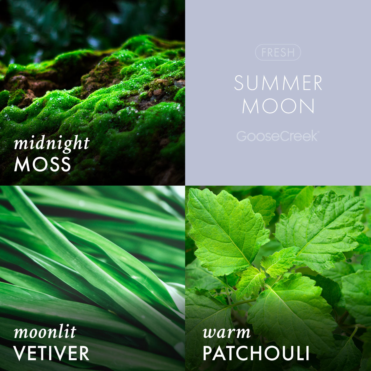 Summer Moon Plug-in Refill - Image 2
